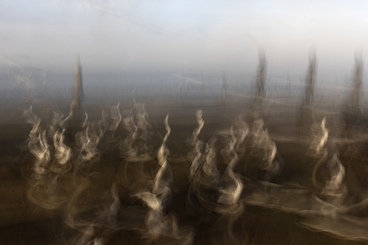 ICM ums Würthhaus Rorschach