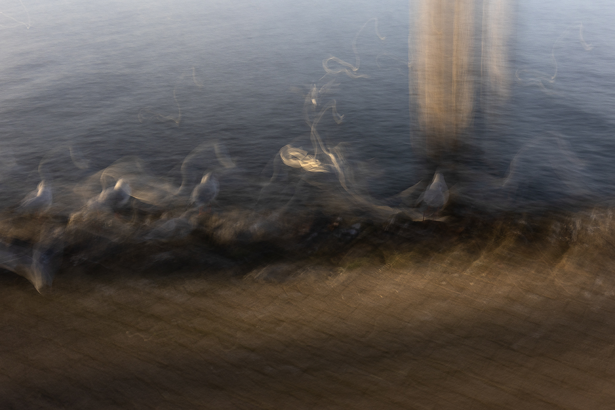 ICM ums Würthhaus Rorschach