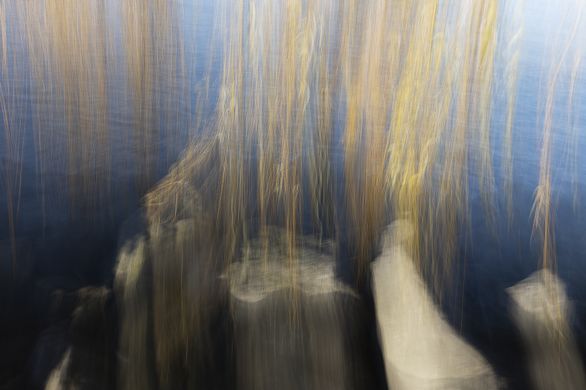 ICM ums Würthhaus Rorschach