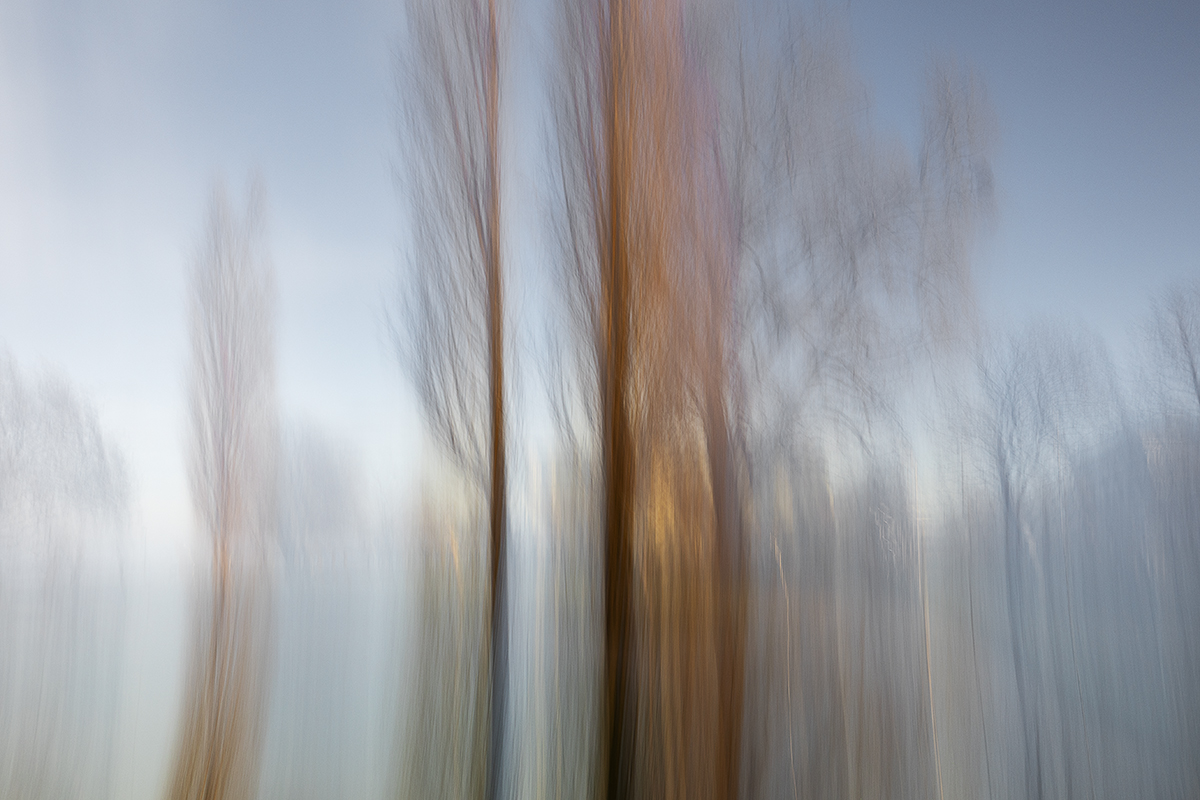 ICM ums Würthhaus Rorschach