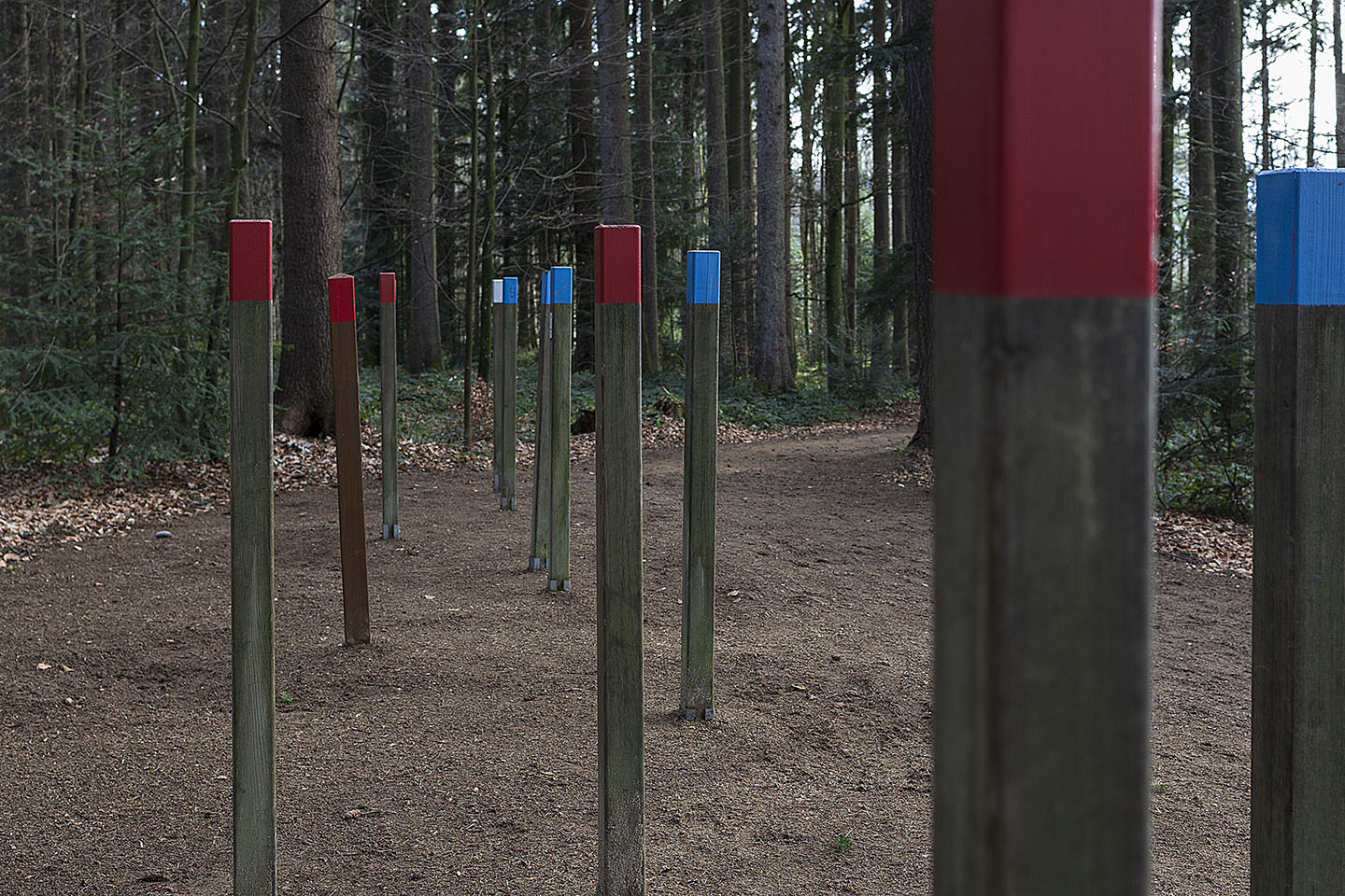 Vitaparcours Guggeien SG