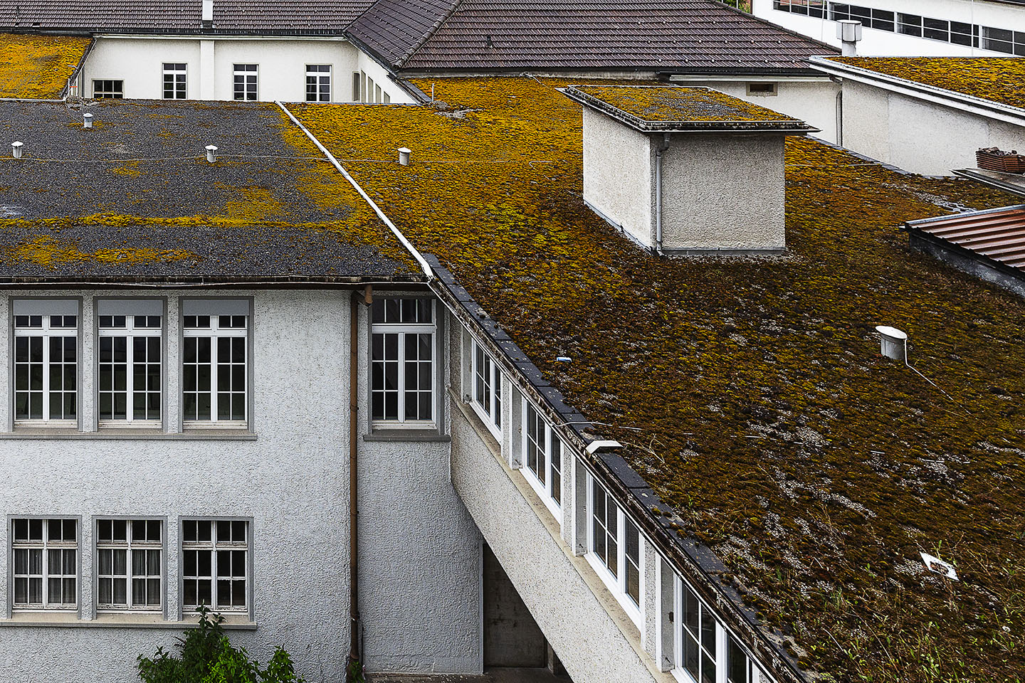 Feldmühle Rorschach