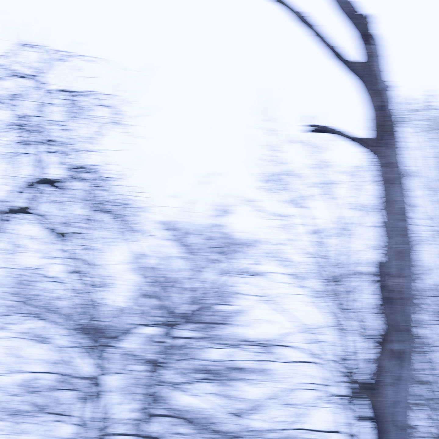Haiku Natur