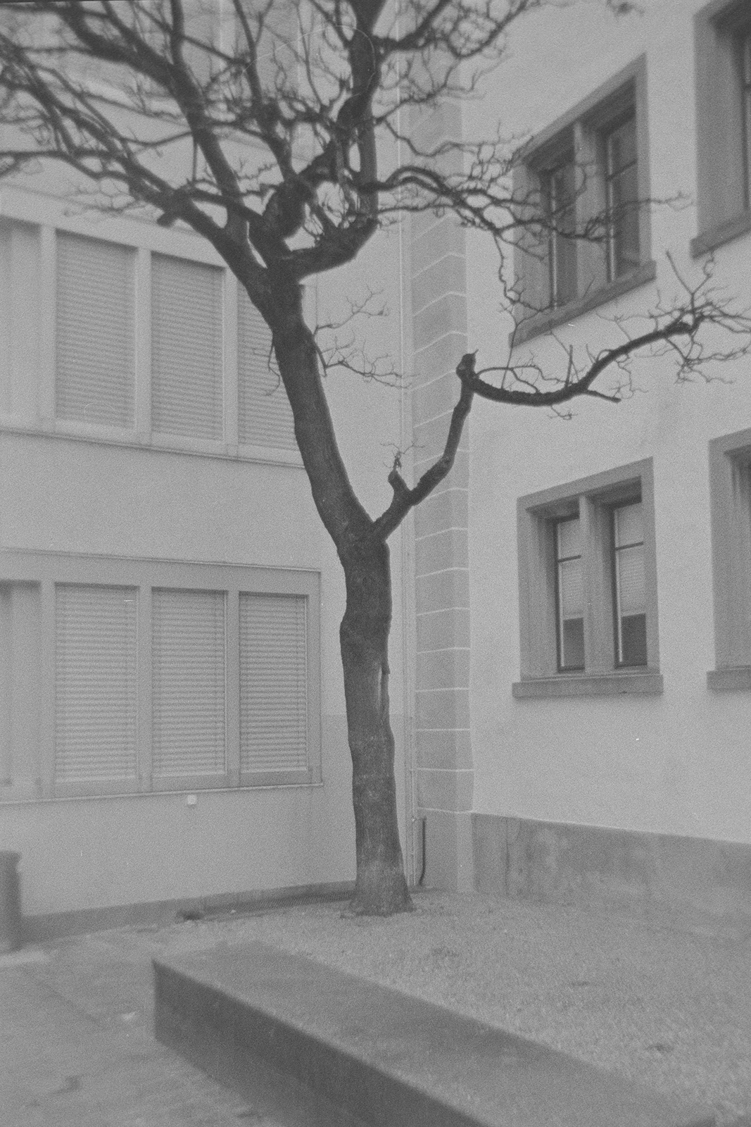 St. Gallen Analog F9