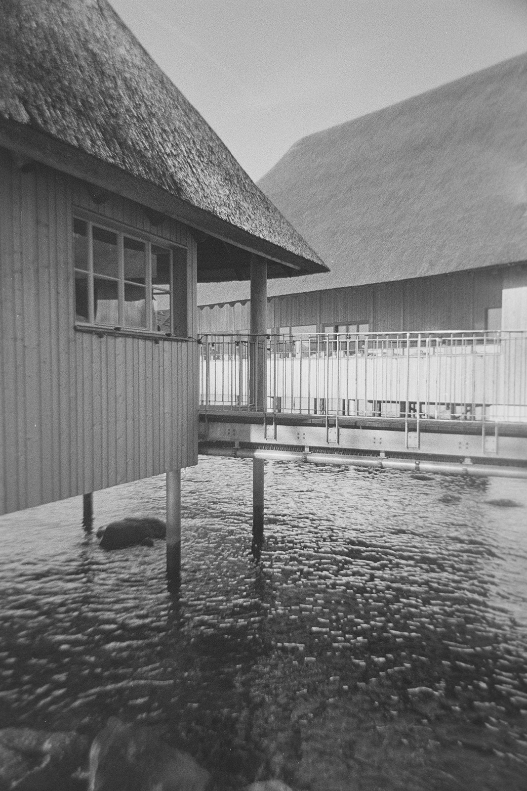 Zürich Analog F9