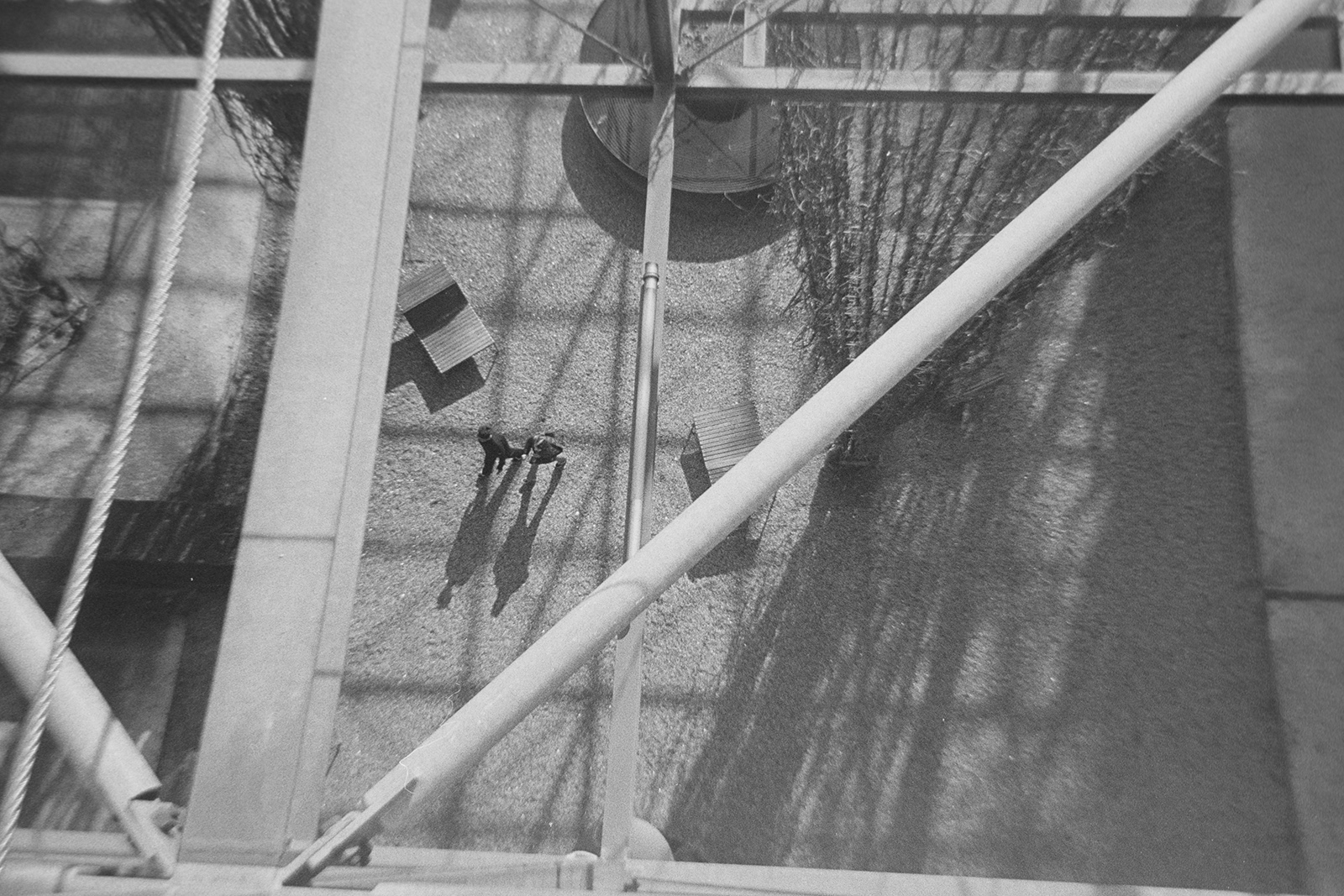 Zürich Analog F9